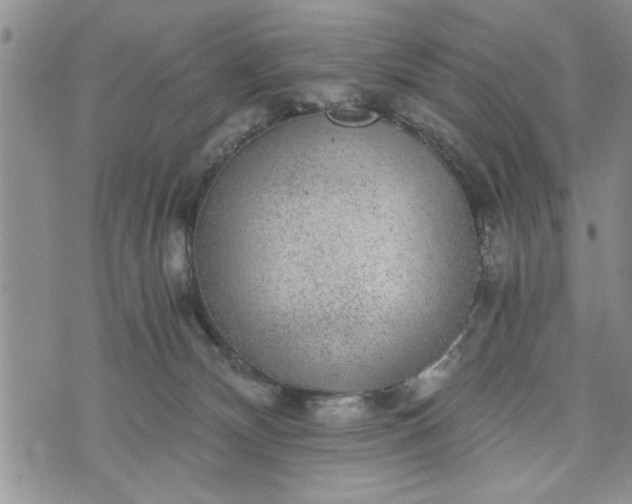 X0000072960132200608041202