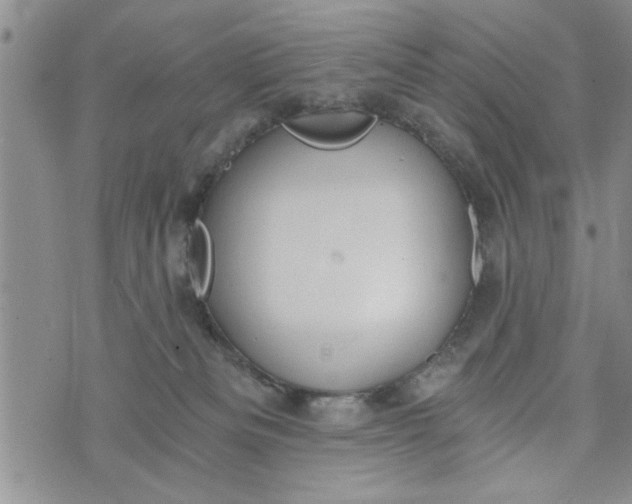 X0000072960133200608041202