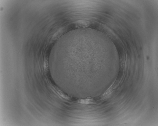 X0000072960134200608041202