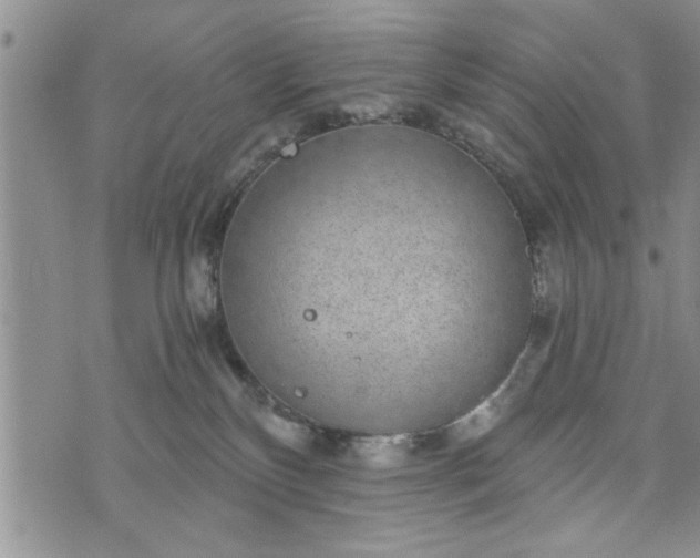 X0000072960136200608041202