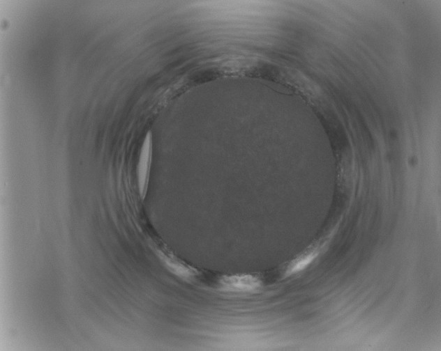 X0000072960137200608041202