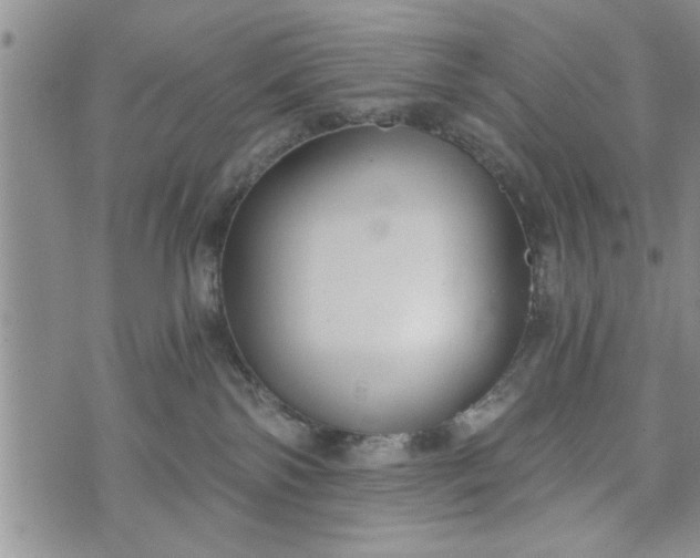 X0000072960138200608041202