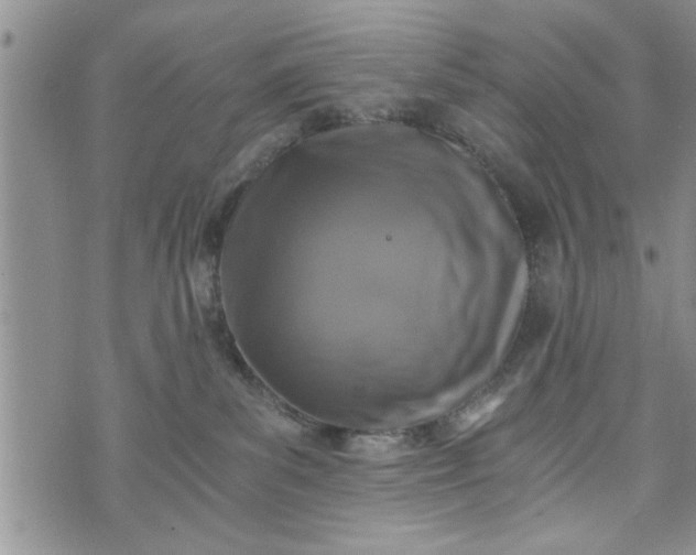 X0000072960139200608041202