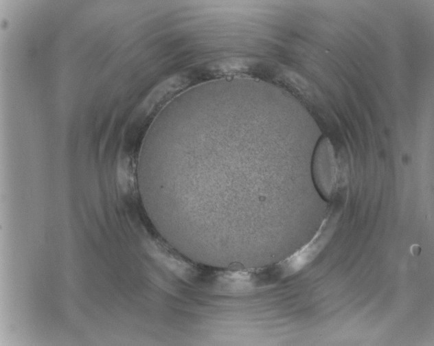 X0000072960140200608041202