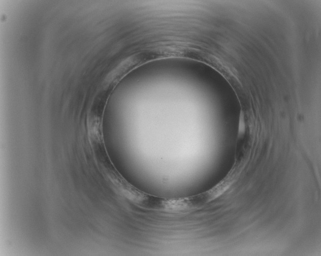 X0000072960141200608041202