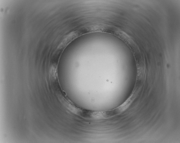 X0000072960142200608041202