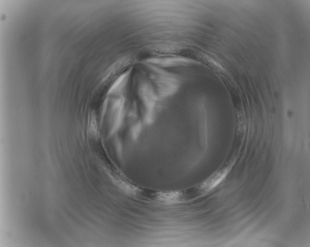 X0000072960143200608041202