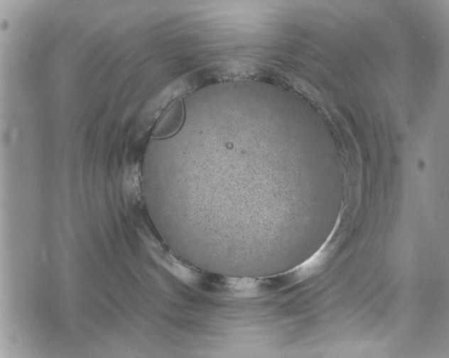 X0000072960144200608041202