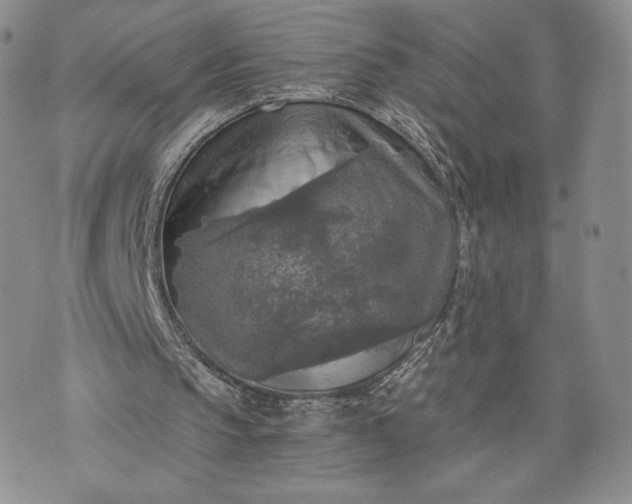 X0000072960145200608041201