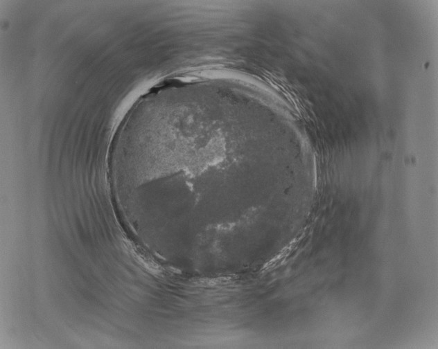 X0000072960147200608041201