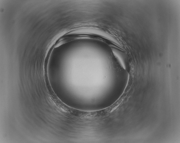 X0000072960148200608041201