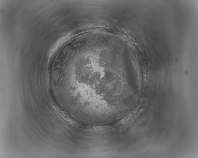 X0000072960149200608041201