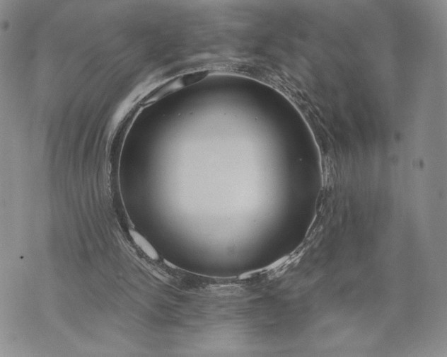 X0000072960150200608041201