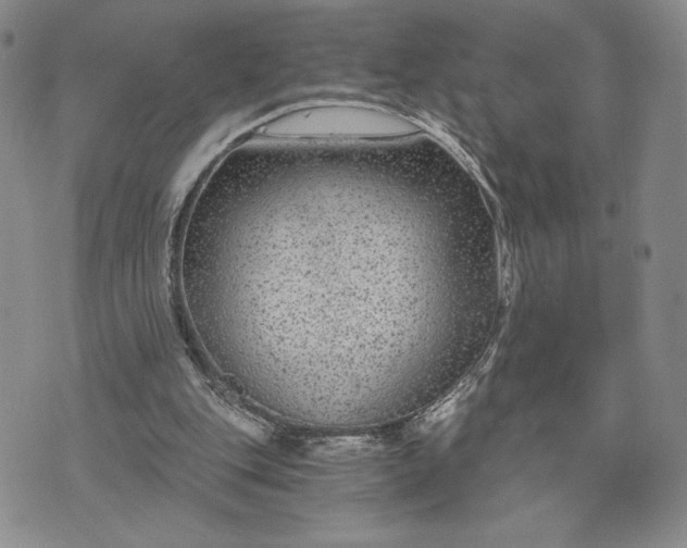 X0000072960151200608041201