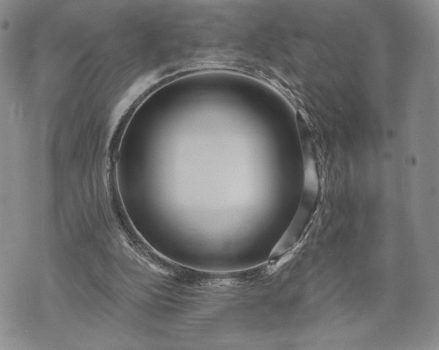 X0000072960152200608041201