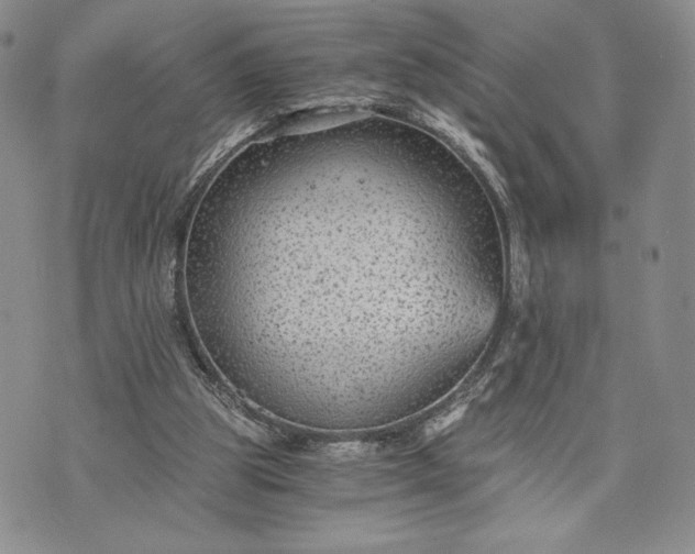 X0000072960153200608041201