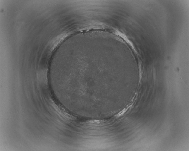 X0000072960154200608041201