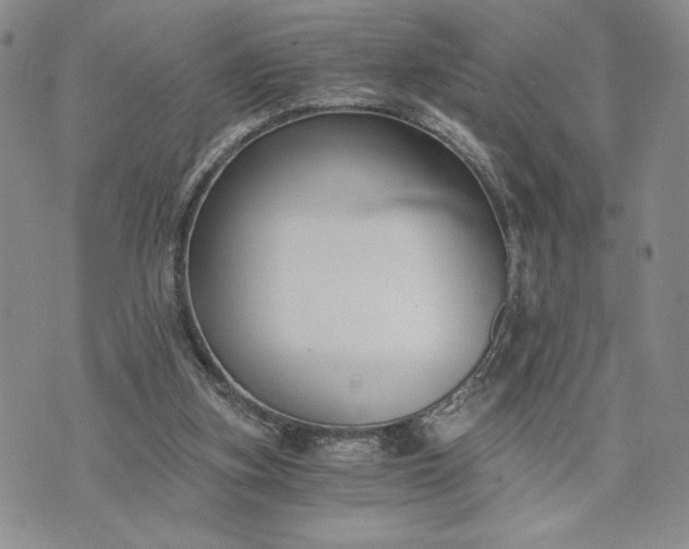 X0000072960155200608041201