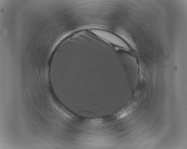 X0000072960156200608041201