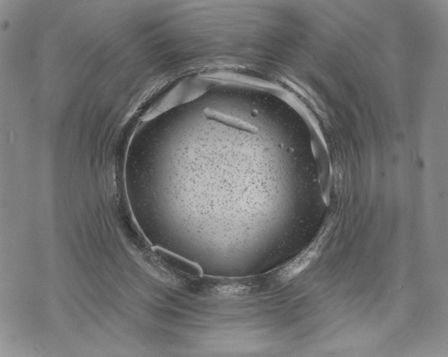 X0000072960158200608041201