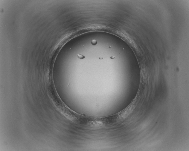 X0000072960159200608041202