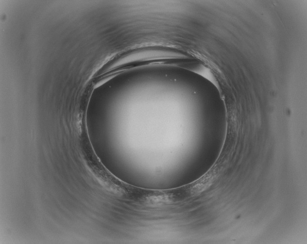 X0000072960160200608041202