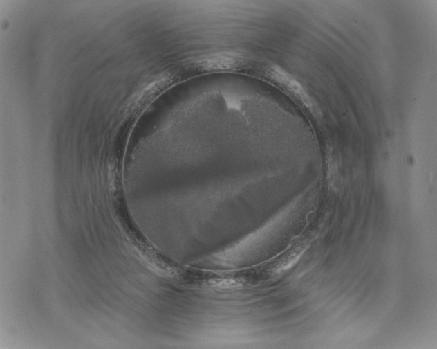 X0000072960161200608041202