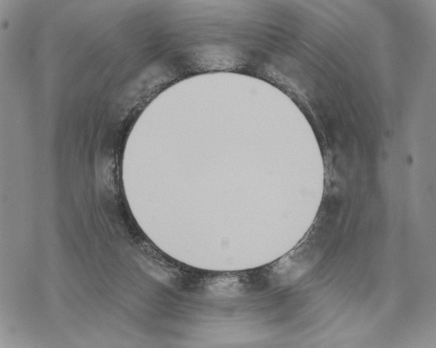 X0000072960162200608041202