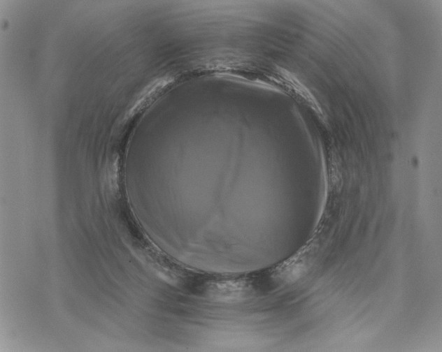 X0000072960163200608041202