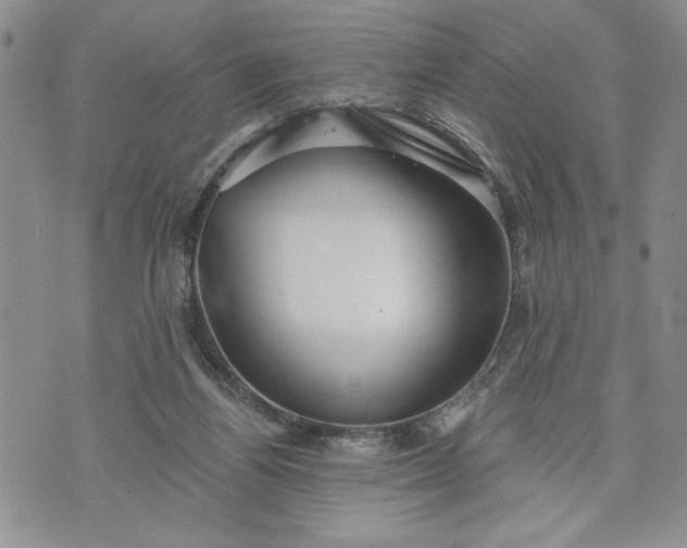 X0000072960164200608041202