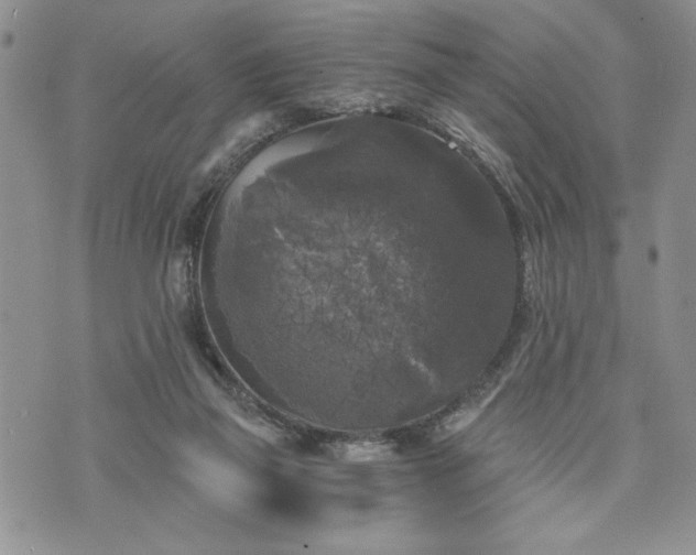 X0000072960165200608041202