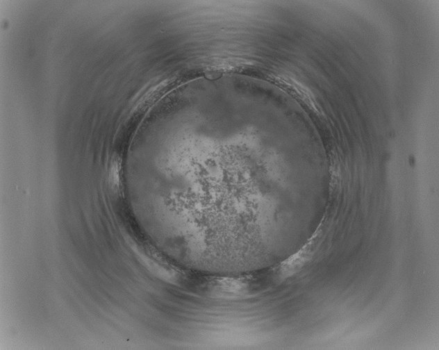 X0000072960166200608041202