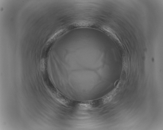 X0000072960167200608041202