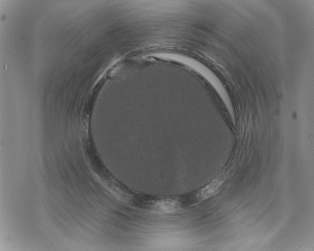 X0000072960168200608041202