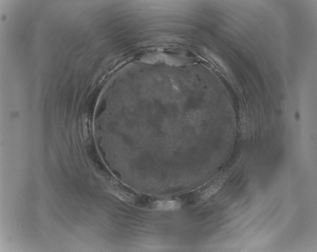 X0000072960169200608041202