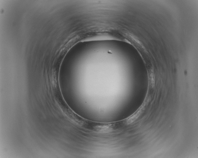 X0000072960170200608041202