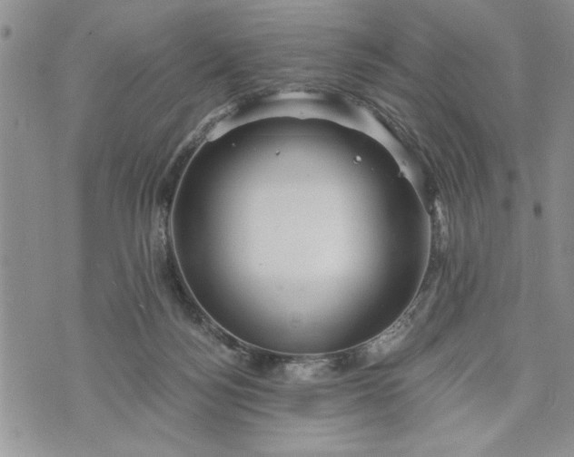 X0000072960172200608041202