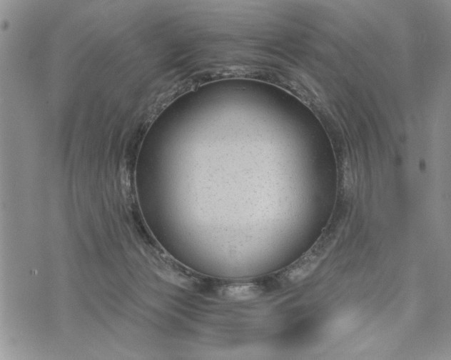 X0000072960173200608041202