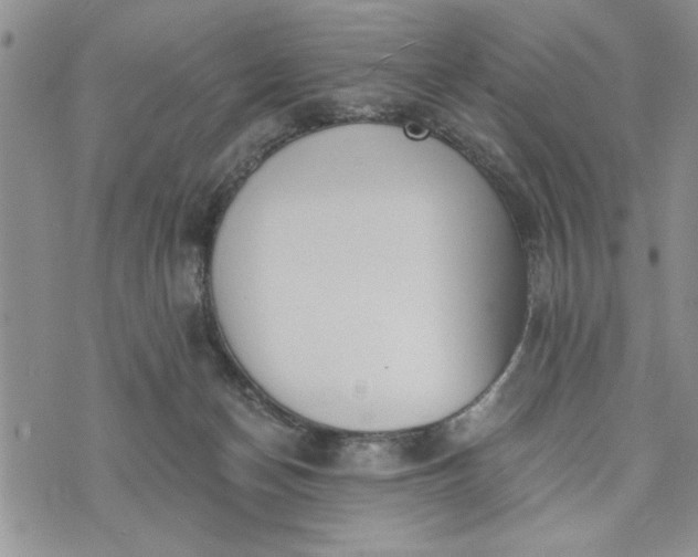 X0000072960174200608041202