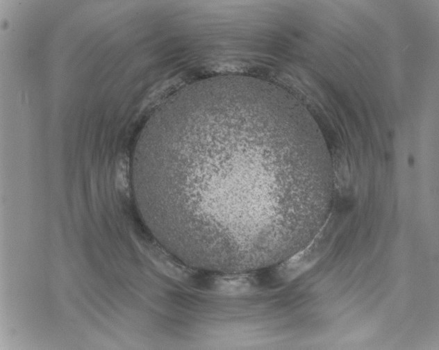 X0000072960175200608041202