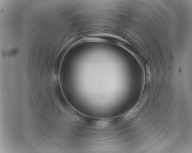 X0000072960176200608041202