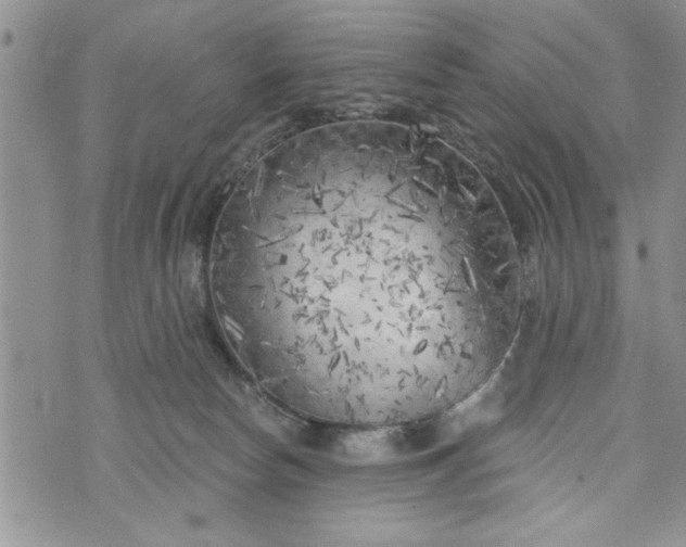 X0000072960178200608041202