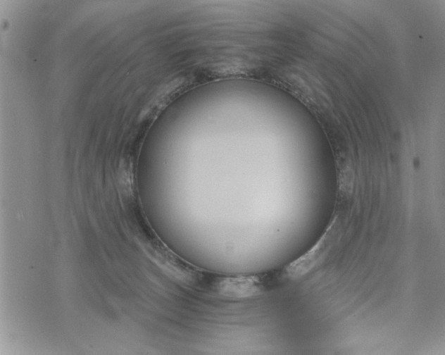 X0000072960179200608041202