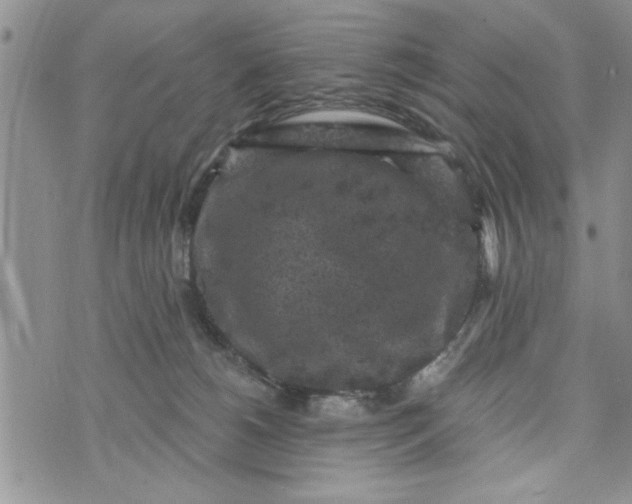 X0000072960180200608041202