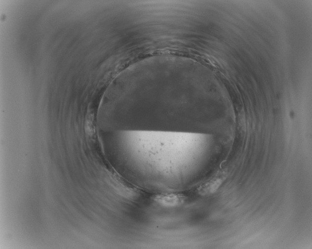 X0000072960181200608041202