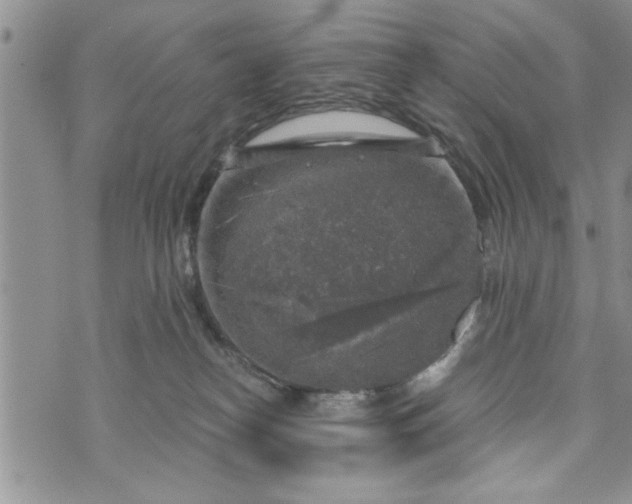 X0000072960182200608041202