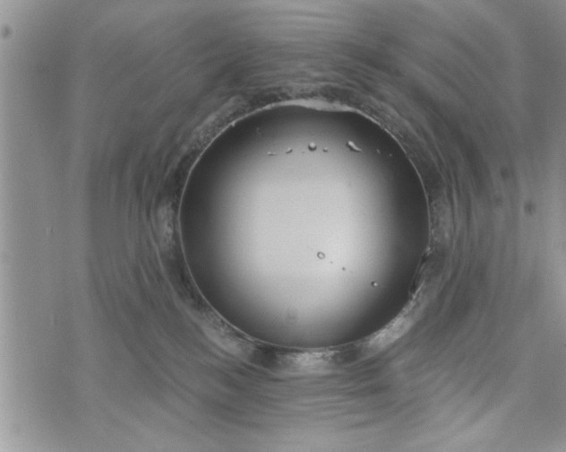 X0000072960184200608041202