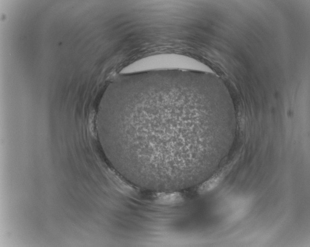 X0000072960185200608041202