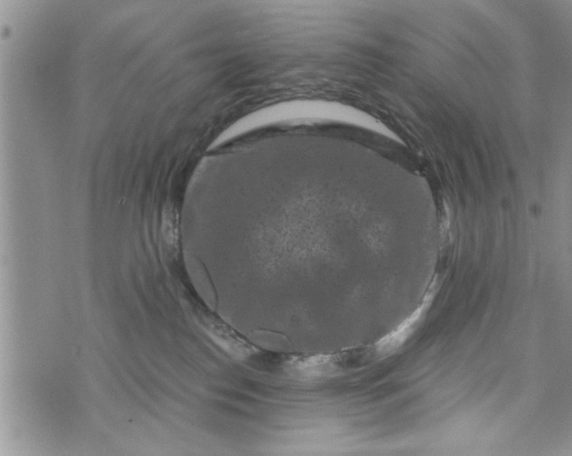 X0000072960186200608041202