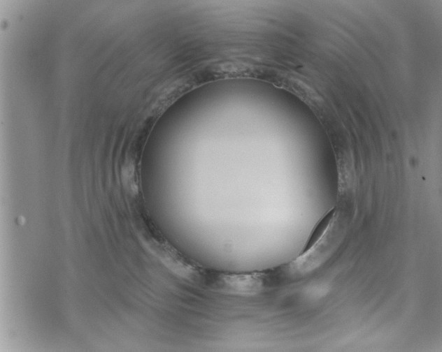 X0000072960187200608041202